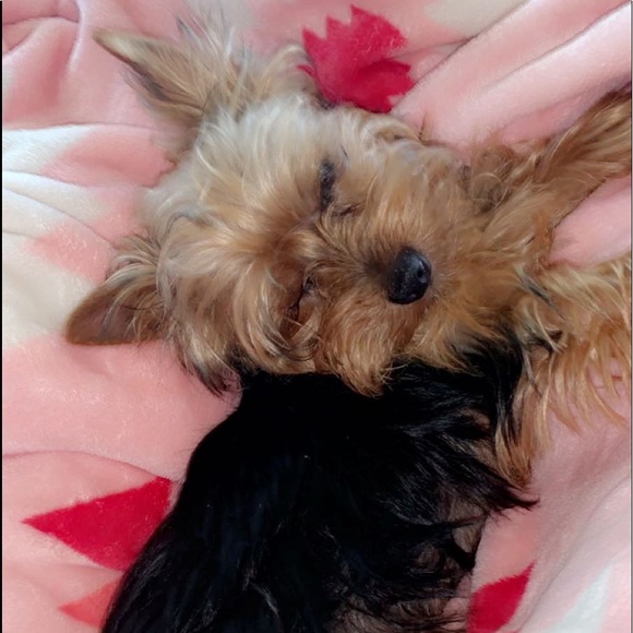 Meet your Posher, Erin - Picture 1 of 1